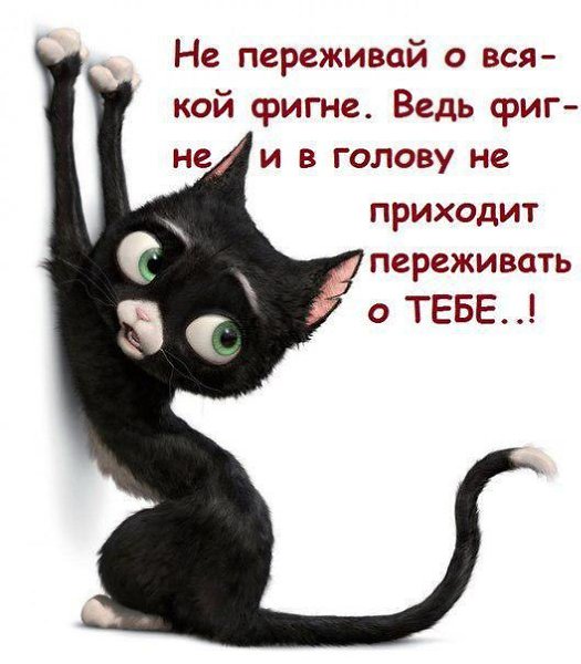 ����� - 14 ������ 2015 � 11:04