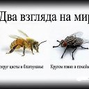 ���� ������, ����, 55 ��� - ��������� 15 ������� 2015 � ������ ������-�����*�