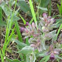 ��������. �� ������� ���� ����������