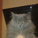 ���� ������, ���������, 57 ��� - ��������� 6 ����� 2015