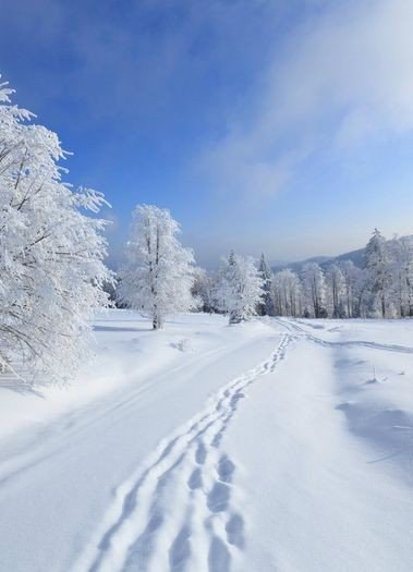   |  |  - 21  2015  13:40