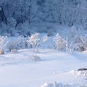 ���� ������, ������, 54 ���� - ��������� 11 ������� 2015 � ������ ���� ����������