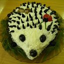 ���� ������, ����������, 73 ���� - ��������� 8 ������ 2015 � ������ ������� ������