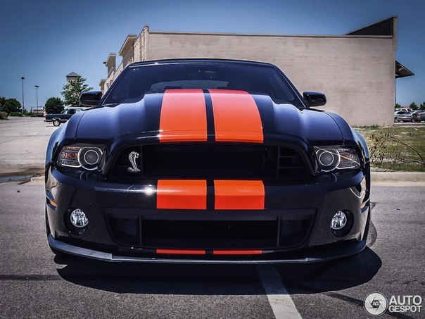 Shelby GT500 Convertible. - 2