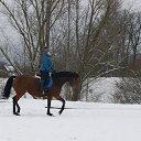 ���� �����, ��������, 43 ���� - ��������� 18 ������� 2015 � ������ ���� ����������