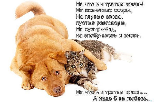 ���� - 4 ������� 2015 � 15:40