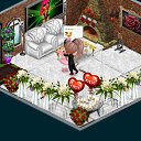 ���� �����, ������, 41 ��� - ��������� 1 ������ 2015 � ������ �Tropikania�