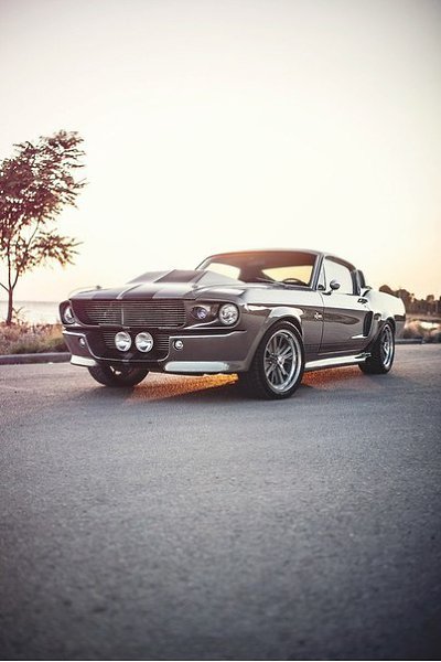 Shelby GT500