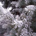 ���� �������, ������ - ��������� 14 ������� 2014 � ������ ������ ��������