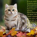 ���� ������, �����-���������, 64 ���� - ��������� 18 ����� 2015 � ������ ������ ��������