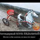 ���� �����, ����������� - ��������� 13 ������ 2015 � ������ ������ ��������