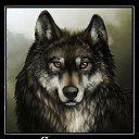 ���� ����, ������-��-����, 40 ��� - ��������� 4 ����� 2015