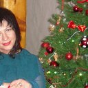 ���� �����, ��������� - ��������� 5 ������ 2015 � ������ ���� ����������