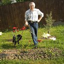 ���� ����, ������, 68 ��� - ��������� 13 ������ 2015 � ������ ���� ����������