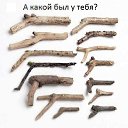 ���� Toni 5, ������� - ��������� 6 ������ 2015 � ������ ������ ��������