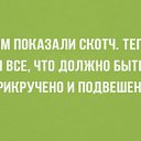 ���� �������, �����, 62 ���� - ��������� 12 ������ 2015 � ������ ������ ��������