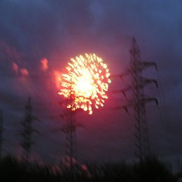 Angelica, ������, 56 ���