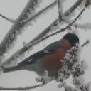 ���� ��������, ������, 68 ��� - ��������� 27 ������� 2014 � ������ ���� ����������