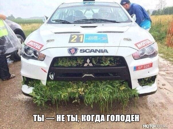 ������������ ���� - 15 ������ 2015 � 12:25