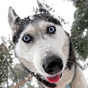 ���� �����, ������-��-����, 53 ���� - ��������� 21 ����� 2015 � ������ ���� ����������