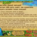 ���� ������� ���, ������ - ��������� 1 ������ 2015 � ������ ���� ����������