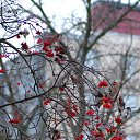 ���� ������, �����-���������, 55 ��� - ��������� 3 ������� 2015