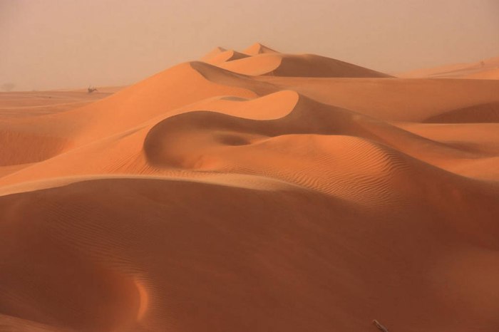    -   (Sahara Desert).     .   ...