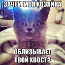 ���� ����, ��������, 55 ��� - ��������� 7 ������ 2015 � ������ ���������
