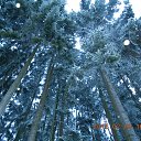 ���� �������, ������ - ��������� 4 ������� 2015 � ������ ������� "������ ������"�