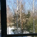 ���� ����, ������ - ��������� 28 ������� 2015 � ������ ���� ����������