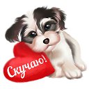 ���� �����, ���������, 54 ���� - ��������� 18 ������� 2015 � ������ �������� ��������