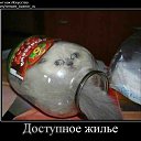 ���� ����, ������, 56 ��� - ��������� 16 ������ 2015 � ������ ������ ��������