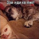 ���� ��������, �����-��������� - ��������� 21 ������� 2015 � ������ ������ ��������