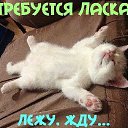 ���� �������, �����������, 50 ��� - ��������� 21 ������ 2015 � ������ ������ ��������