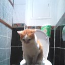 ���� ��������, ������, 75 ��� - ��������� 2 ����� 2015 � ������ ���� ����������