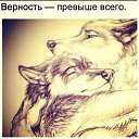 ���� ������, ���� - ��������� 30 ������� 2014 � ������ ������ ��������
