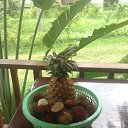 ���� Ser, �����-���������, 46 ��� - ��������� 6 ����� 2015 � ������ ���� ����������