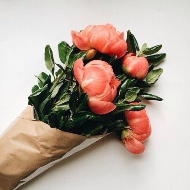 ���������� ����� https://fotostrana.ru/away?to=/sl/KE2