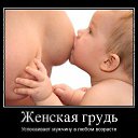 ���� �����, �������, 63 ���� - ��������� 14 ����� 2015 � ������ ���� ����������