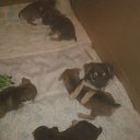 ���� �����, ��������� - ��������� 23 ������ 2015 � ������ ���� ����������