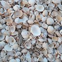 ���� ������� - �� ��������!, �������� - ��������� 19 ������ 2015 � ������ �����������