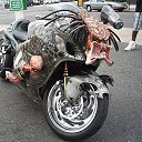 ���� �������, ����, 44 ���� - ��������� 6 ������ 2015