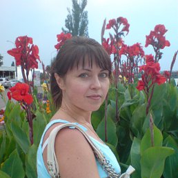 �������, ���������, 53 ����