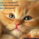 ���� ������, ��������������� - ��������� 13 ������ 2015 � ������ ������