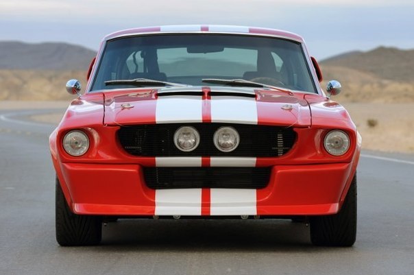 Shelby and Ford Mustang