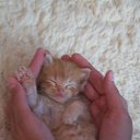 ��������� ������) ��� �������)