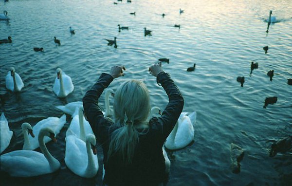 tumblr - 5 ������ 2015 � 13:00