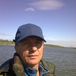, 66, 