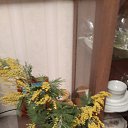 ���� ���������, �������� - ��������� 27 ����� 2015 � ������ ������ ��������