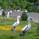 ���� ������ �������, �������, 67 ��� - ��������� 19 ������ 2015 � ������ �������